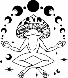 Silver Frog Studio Banner